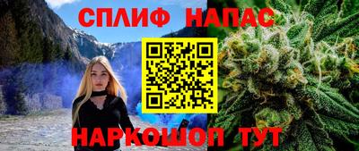 индика Ипатово