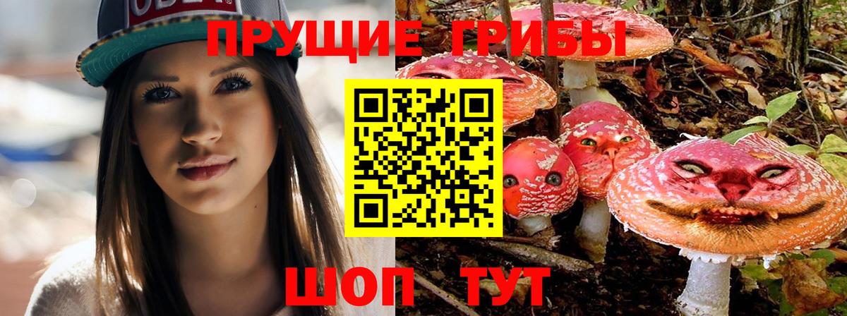 Псилоцибиновые грибы мухоморы  Вход с VPN  Майский  Галлюциногенные грибы Psilocybe 
